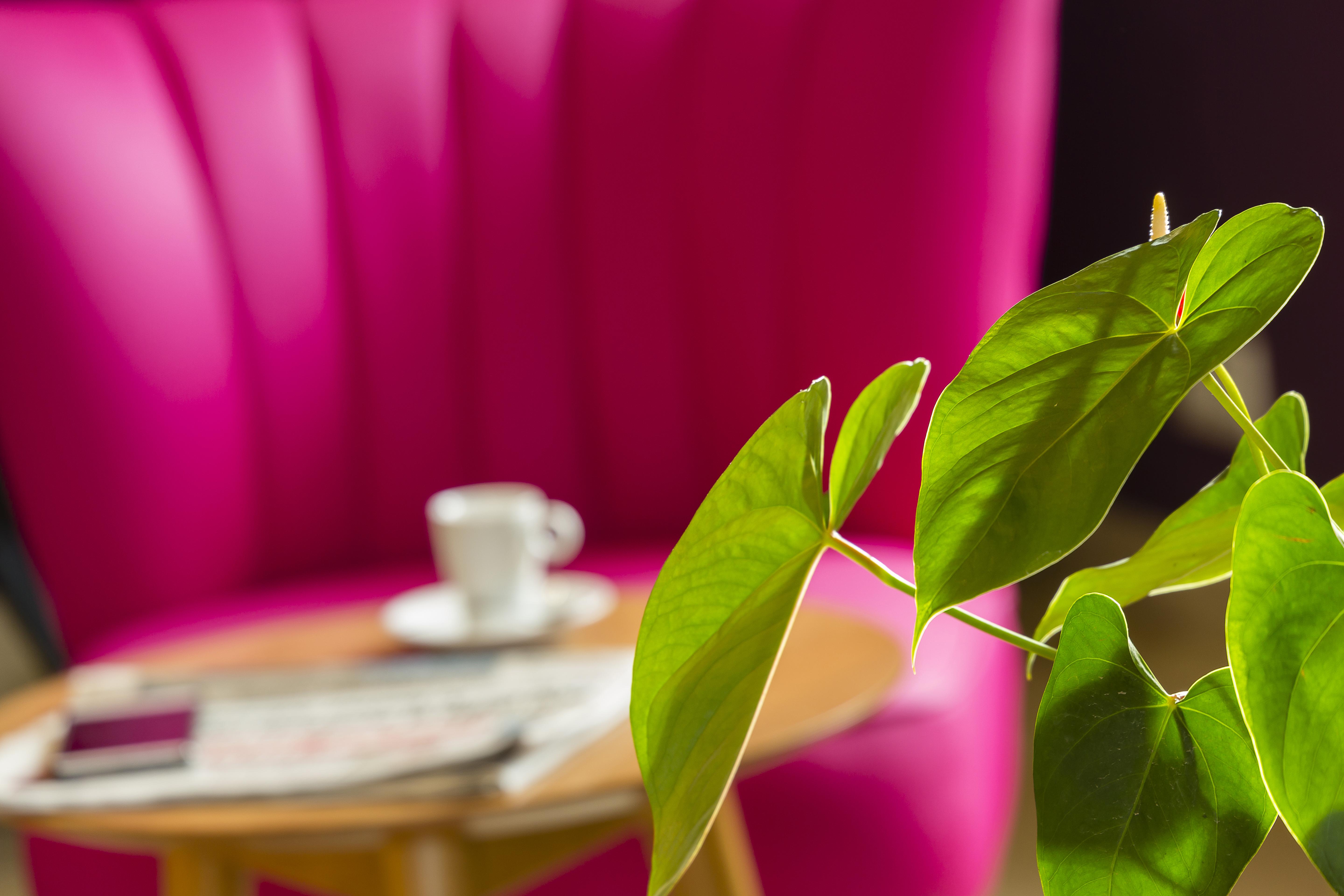 Hotel La Lagune 루키아나 외부 사진